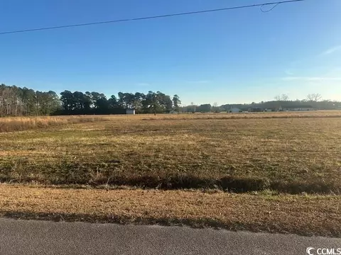 tbd Loop Rd, Loris, SC 29569
