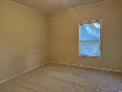520 Deer Spring Loop, Georgetown, SC 29440 photo 20