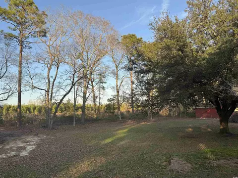 520 Deer Spring Loop, Georgetown, SC 29440 photo 8