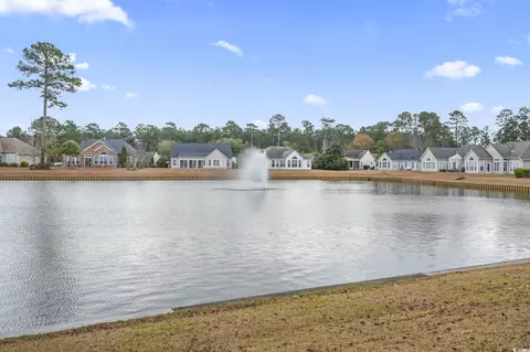 View/Area - 41 Bear Creek Loop, Murrells Inlet, SC 29576 photo 4 of 4