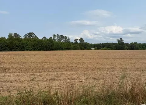 tbd Mack Rd, Conway, SC 29526 photo 4