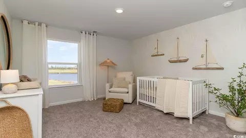 347 Glade Ct, Loris, SC 29569 photo 23