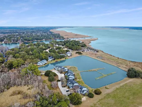 View/Area - 43 Pheasant Loop #304, Georgetown, SC 29440 photo 3 of 7