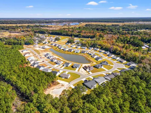 View/Area - 64 Double Pond Dr, Georgetown, SC 29440 photo 4 of 5