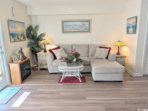 Living - 207 Double Eagle Dr #A-1, Surfside Beach, SC 29575 photo 5 of 6