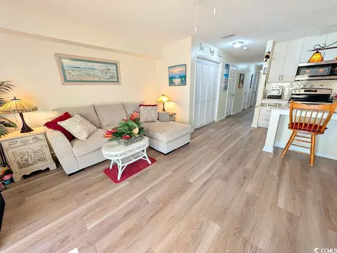 Living - 207 Double Eagle Dr #A-1, Surfside Beach, SC 29575 photo 4 of 6