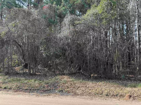 4 Rolling River Road, Longs, SC 29568 photo 3