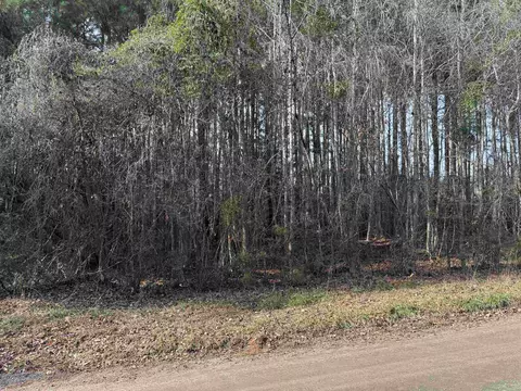4 Rolling River Road, Longs, SC 29568 photo 2