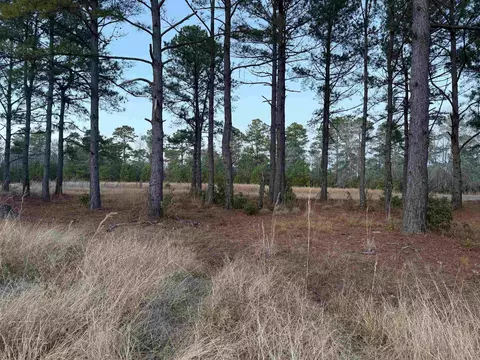 tbd Belland Ct, Loris, SC 29569 photo 5