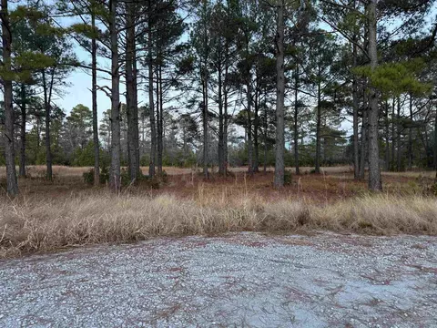 tbd Belland Ct, Loris, SC 29569 photo 3