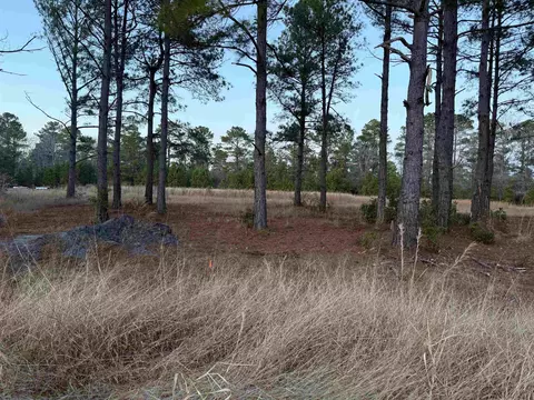 tbd Belland Ct, Loris, SC 29569 photo 4