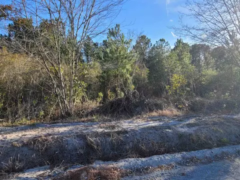 tbd 2 Auburn Dr, Loris, SC 29569 photo 3