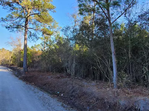 tbd 1 Log Cabin Rd, Loris, SC 29569 photo 4