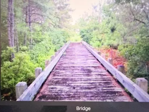 Other - 372 Firenze Loop, Myrtle Beach, SC 29579 photo 10 of 10
