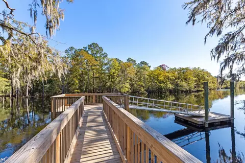 View/Area - 447 Honeyhill Loop, Conway, SC 29526 photo 7 of 8