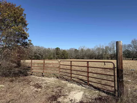 10686 Scott Ave, Manning, SC 29102