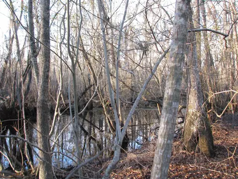0 Gully Branch Rd, Dillon, SC 29536 photo 31