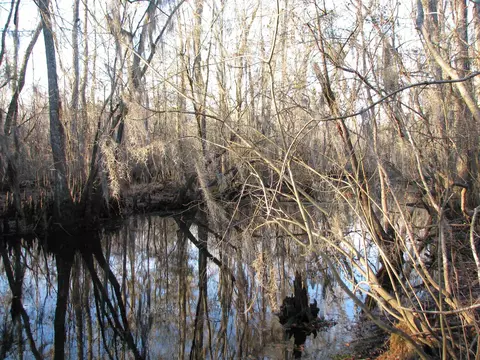 0 Gully Branch Rd, Dillon, SC 29536 photo 34