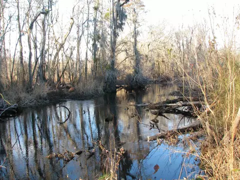 0 Gully Branch Rd, Dillon, SC 29536 photo 22