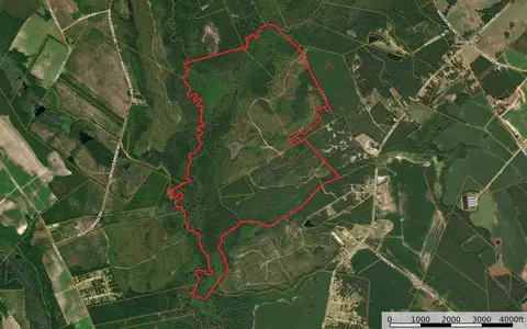 0 Gully Branch Rd, Dillon, SC 29536