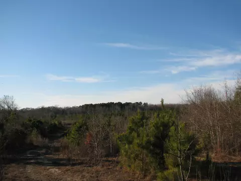 0 Gully Branch Rd, Dillon, SC 29536 photo 14