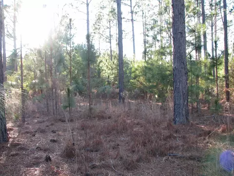 0 Gully Branch Rd, Dillon, SC 29536 photo 3