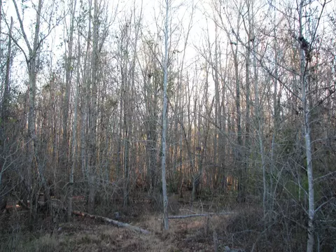 0 Gully Branch Rd, Dillon, SC 29536 photo 17