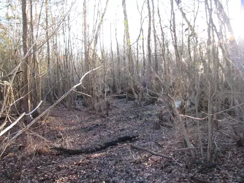 0 Gully Branch Rd, Dillon, SC 29536 photo 29