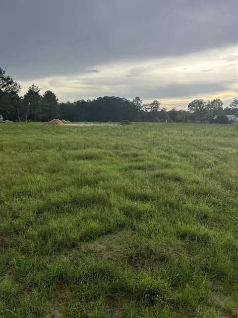 tbd Lexyryan Ct, Latta, SC 29565