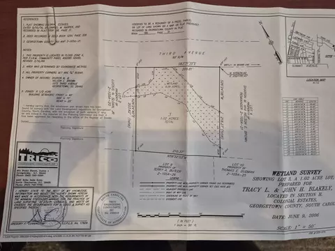 lot3 Third Ave, Georgetown, SC 29440