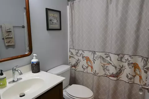 Bath - 233 Macarthur Dr, Conway, SC 29527 photo 4 of 4