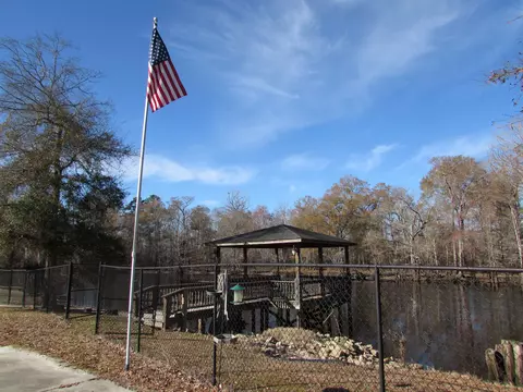 3429 River Rd, Nichols, SC 29581 photo 41