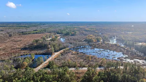 3429 River Rd, Nichols, SC 29581 photo 4