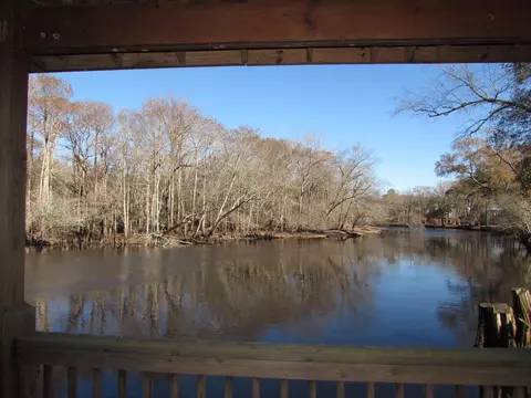 3429 River Rd, Nichols, SC 29581 photo 38