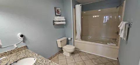 Bath - 223 Double Eagle Dr, Myrtle Beach, SC 29575 photo 3 of 4