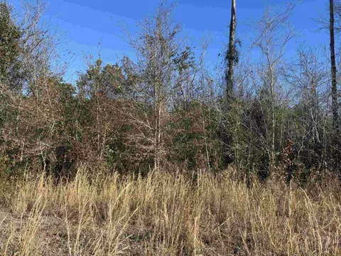 tbd W Highway 19, Loris, SC 29569