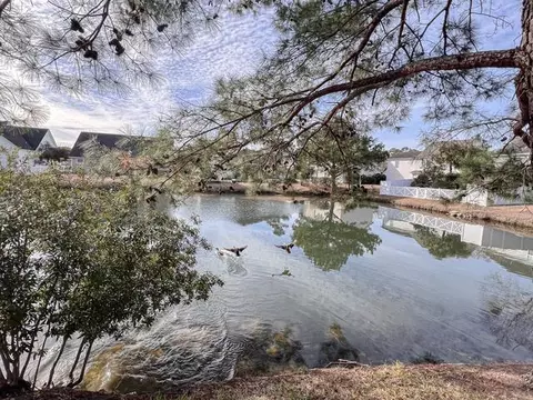 View/Area - 199 Sugar Mill Loop, Myrtle Beach, SC 29588 photo 1 of 1