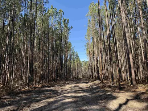 31 40acres-tbd Pennyroyal Rd, Georgetown, SC 29440