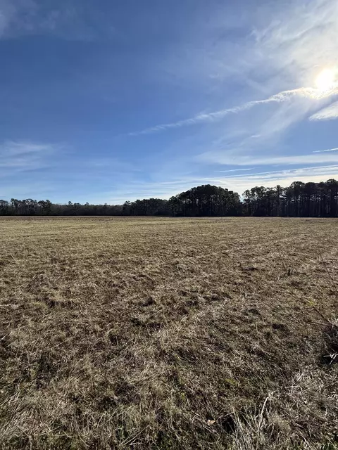 lot7 Johnson Shelley Rd, Conway, SC 29526 photo 8