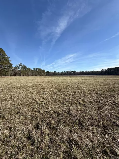 lot7 Johnson Shelley Rd, Conway, SC 29526 photo 7