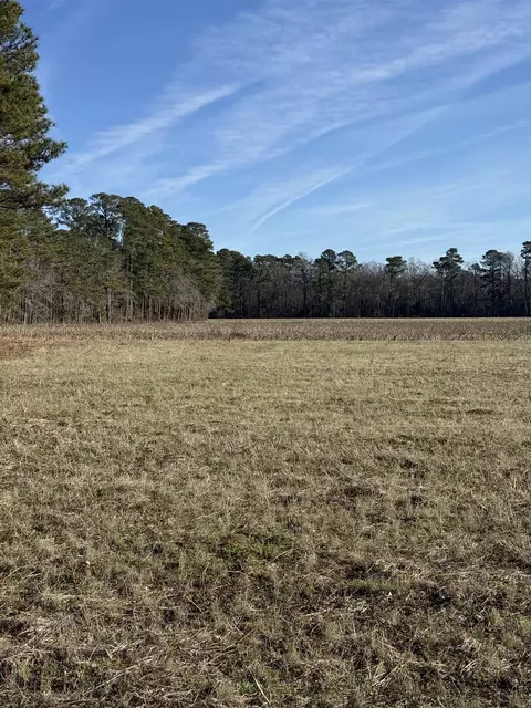 lot8 Johnson Shelley Rd, Conway, SC 29526 photo 5
