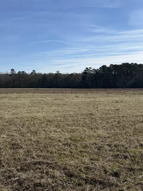 lot8 Johnson Shelley Rd, Conway, SC 29526 photo 4