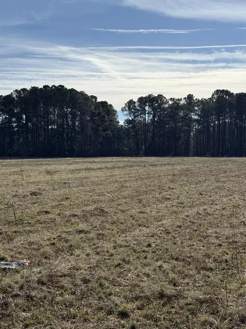 lot8 Johnson Shelley Rd, Conway, SC 29526 photo 3
