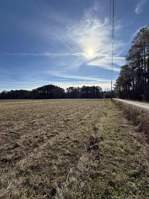 lot9 Johnson Shelley Rd, Conway, SC 29526 photo 9