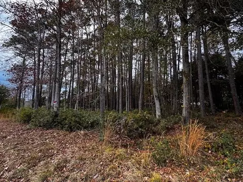 lot8 Luck Ave, Little River, SC 29566