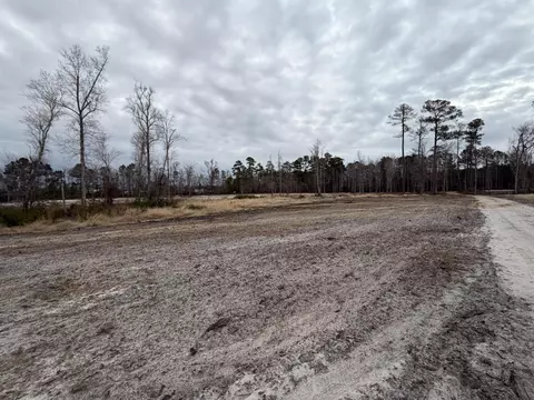 118 Nell Ct, Loris, SC 29569 photo 21