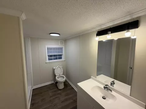 118 Nell Ct, Loris, SC 29569 photo 8