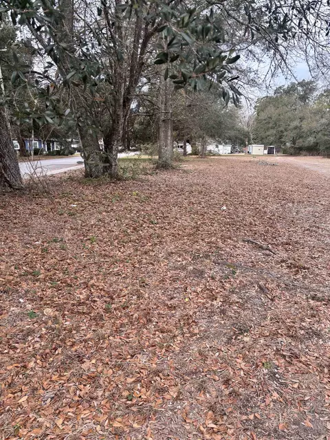 tbd Racepath Ave, Conway, SC 29527 photo 2