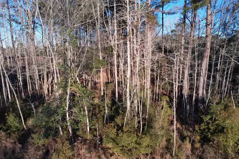 tbd Samuels Ave, Salters, SC 29590 photo 4
