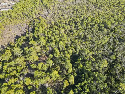 tbd Sugar Bowl Ln, Longs, SC 29568 photo 6